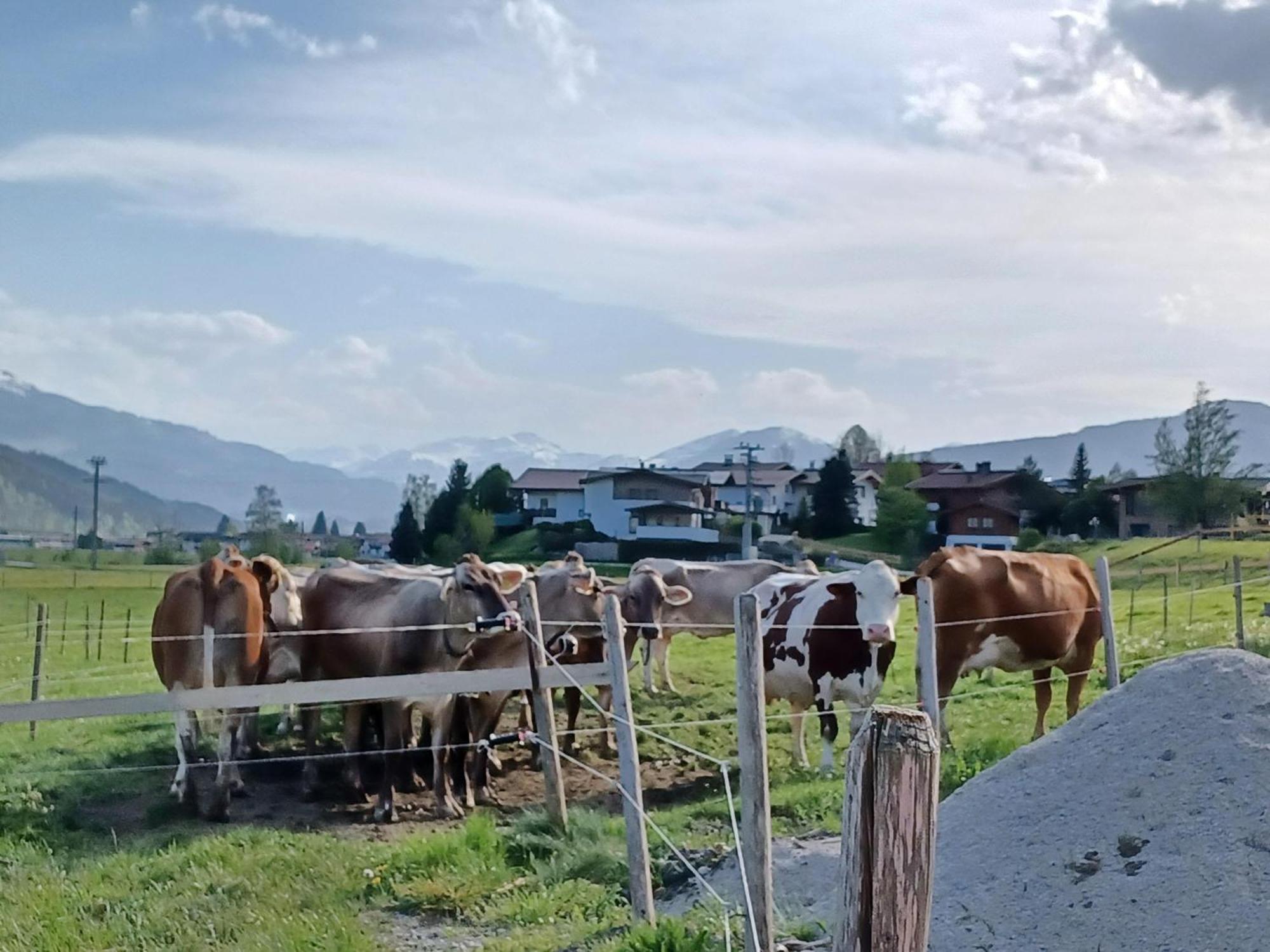 Lampererhof Villa Sankt Johann in Tirol Ngoại thất bức ảnh