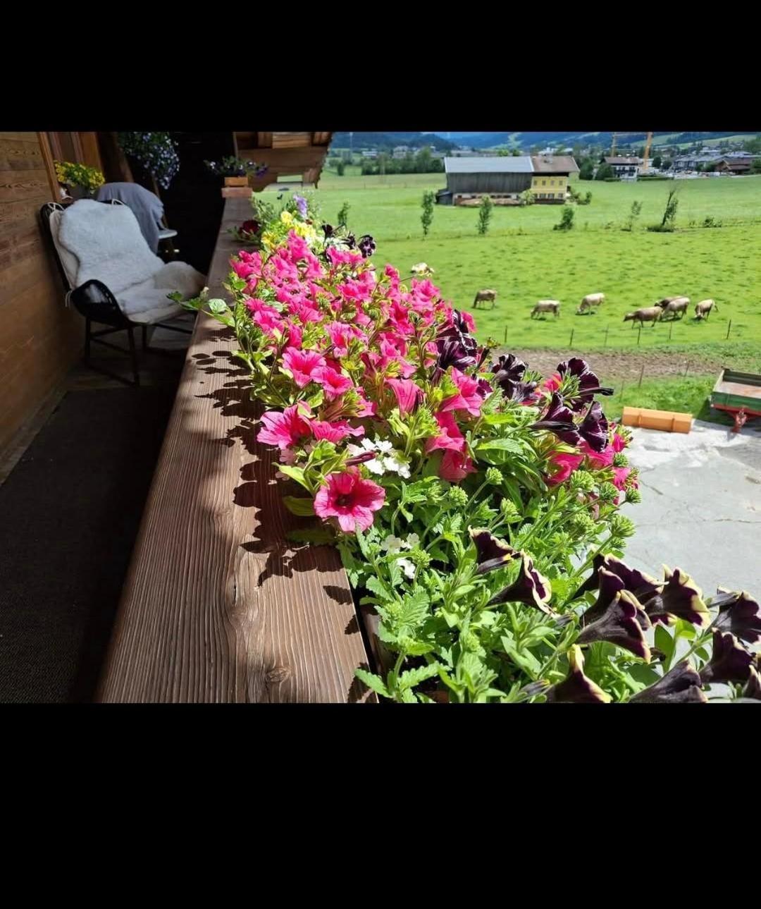 Lampererhof Villa Sankt Johann in Tirol Ngoại thất bức ảnh