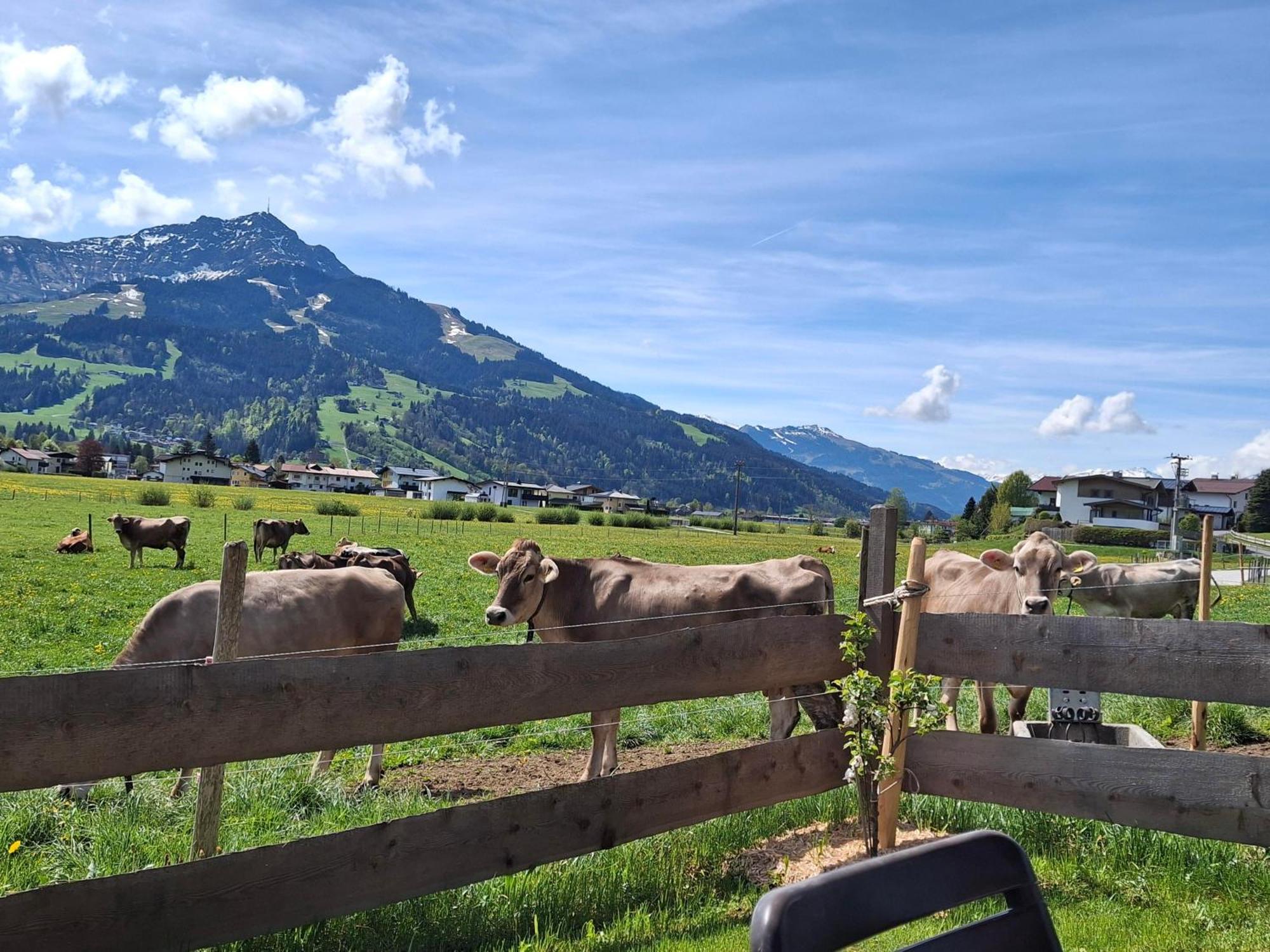 Lampererhof Villa Sankt Johann in Tirol Ngoại thất bức ảnh
