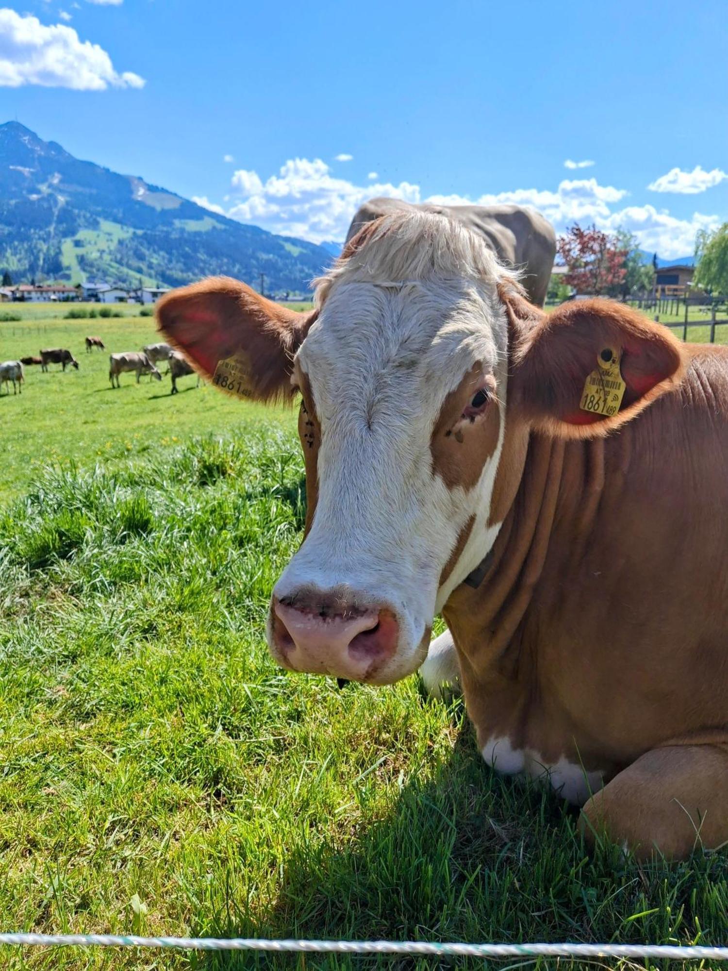 Lampererhof Villa Sankt Johann in Tirol Ngoại thất bức ảnh