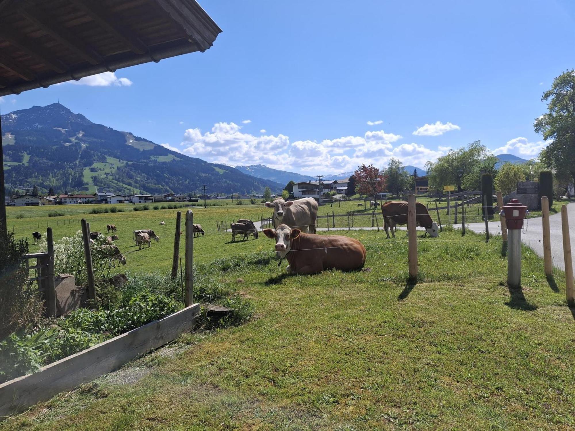 Lampererhof Villa Sankt Johann in Tirol Ngoại thất bức ảnh