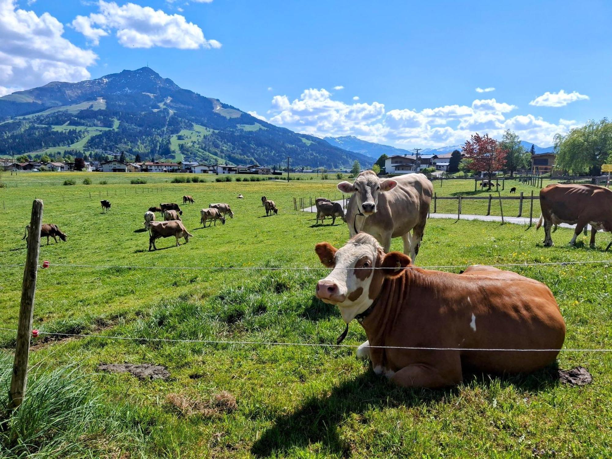 Lampererhof Villa Sankt Johann in Tirol Ngoại thất bức ảnh