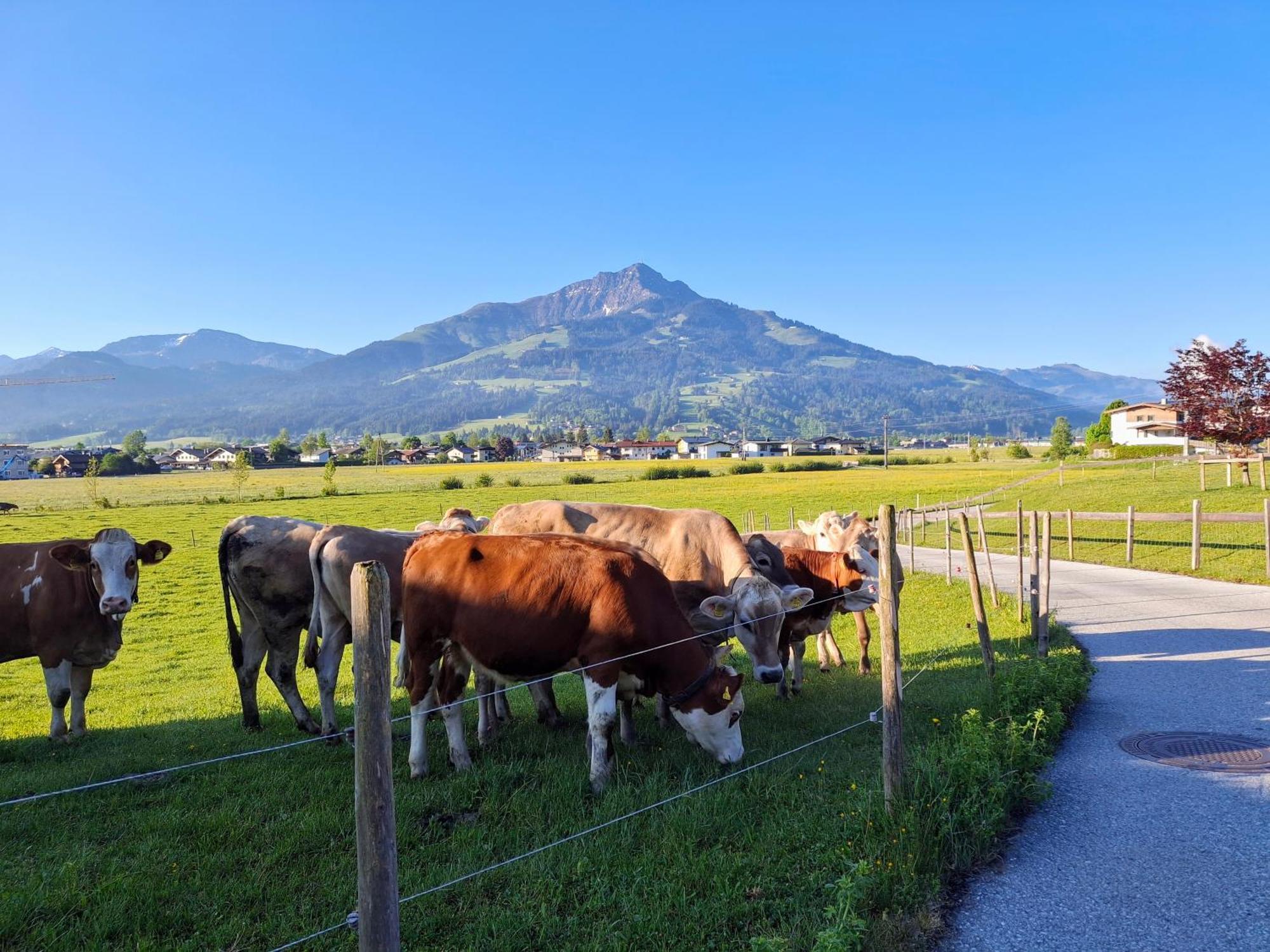 Lampererhof Villa Sankt Johann in Tirol Ngoại thất bức ảnh