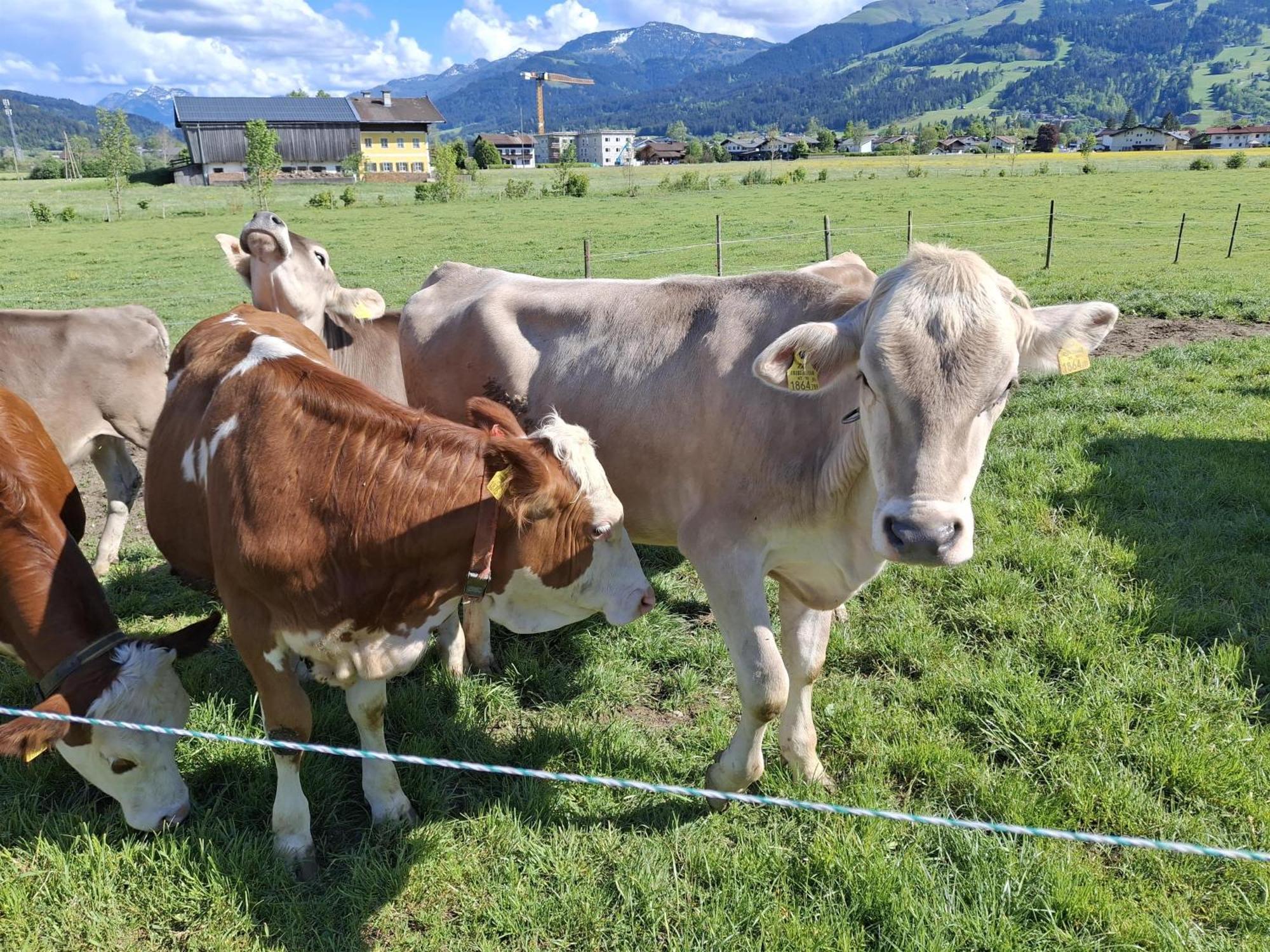 Lampererhof Villa Sankt Johann in Tirol Ngoại thất bức ảnh